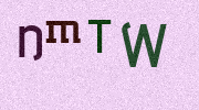 Visual Confirmation Security Code