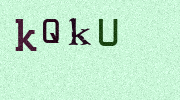 Visual Confirmation Security Code