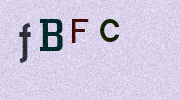 Visual Confirmation Security Code