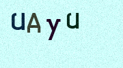 Visual Confirmation Security Code