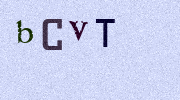 Visual Confirmation Security Code