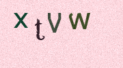 Visual Confirmation Security Code
