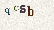 Visual Confirmation Security Code