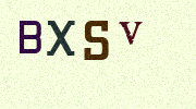 Visual Confirmation Security Code