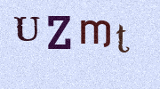 Visual Confirmation Security Code
