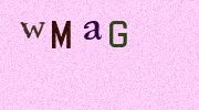 Visual Confirmation Security Code