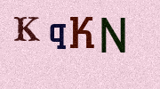 Visual Confirmation Security Code