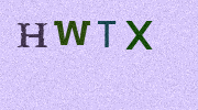 Visual Confirmation Security Code
