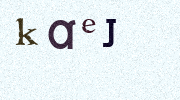 Visual Confirmation Security Code