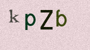 Visual Confirmation Security Code