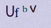Visual Confirmation Security Code