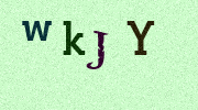 Visual Confirmation Security Code
