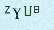 Visual Confirmation Security Code