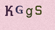 Visual Confirmation Security Code