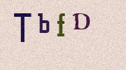Visual Confirmation Security Code