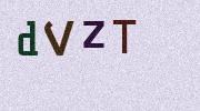 Visual Confirmation Security Code