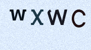 Visual Confirmation Security Code