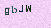 Visual Confirmation Security Code