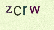 Visual Confirmation Security Code