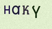 Visual Confirmation Security Code