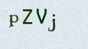 Visual Confirmation Security Code