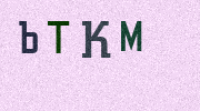 Visual Confirmation Security Code