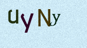 Visual Confirmation Security Code
