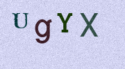Visual Confirmation Security Code