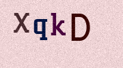 Visual Confirmation Security Code