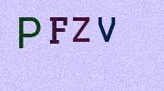 Visual Confirmation Security Code