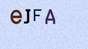 Visual Confirmation Security Code