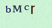 Visual Confirmation Security Code