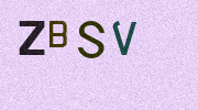 Visual Confirmation Security Code