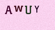 Visual Confirmation Security Code