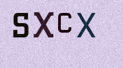 Visual Confirmation Security Code