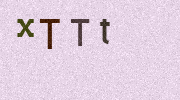 Visual Confirmation Security Code