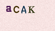 Visual Confirmation Security Code