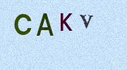 Visual Confirmation Security Code