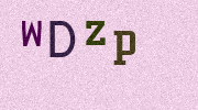 Visual Confirmation Security Code