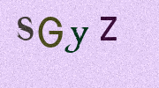 Visual Confirmation Security Code