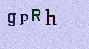 Visual Confirmation Security Code