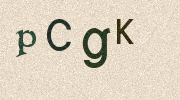 Visual Confirmation Security Code
