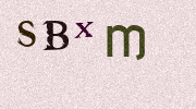 Visual Confirmation Security Code
