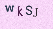 Visual Confirmation Security Code