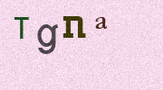 Visual Confirmation Security Code