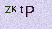 Visual Confirmation Security Code