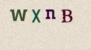 Visual Confirmation Security Code