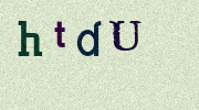 Visual Confirmation Security Code