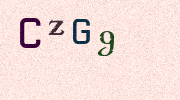 Visual Confirmation Security Code