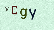 Visual Confirmation Security Code